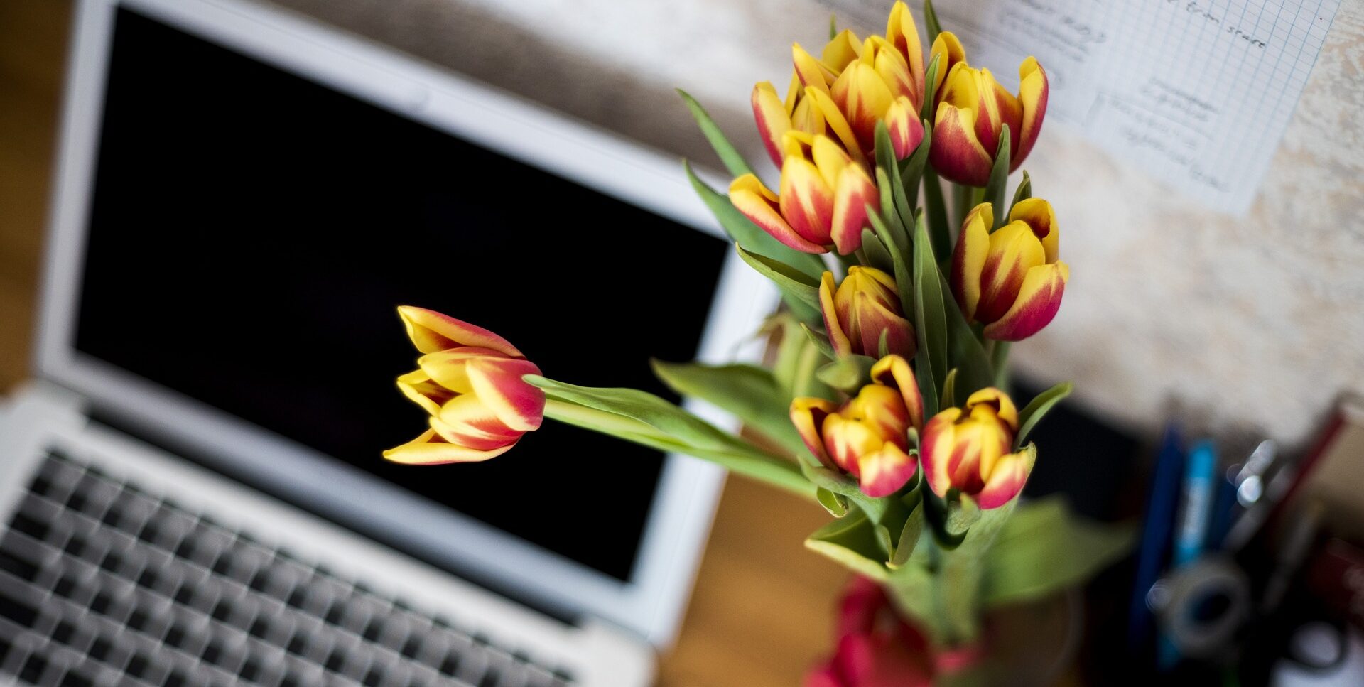 Zasady efektywnej psychoterapii on-line